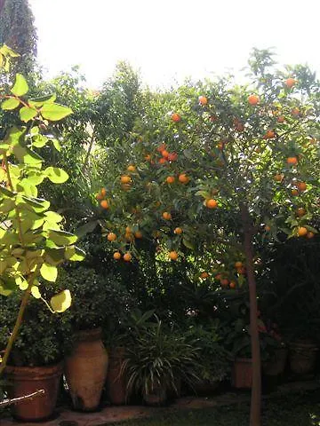 Rocca Castello Bed and Breakfast Taormina
